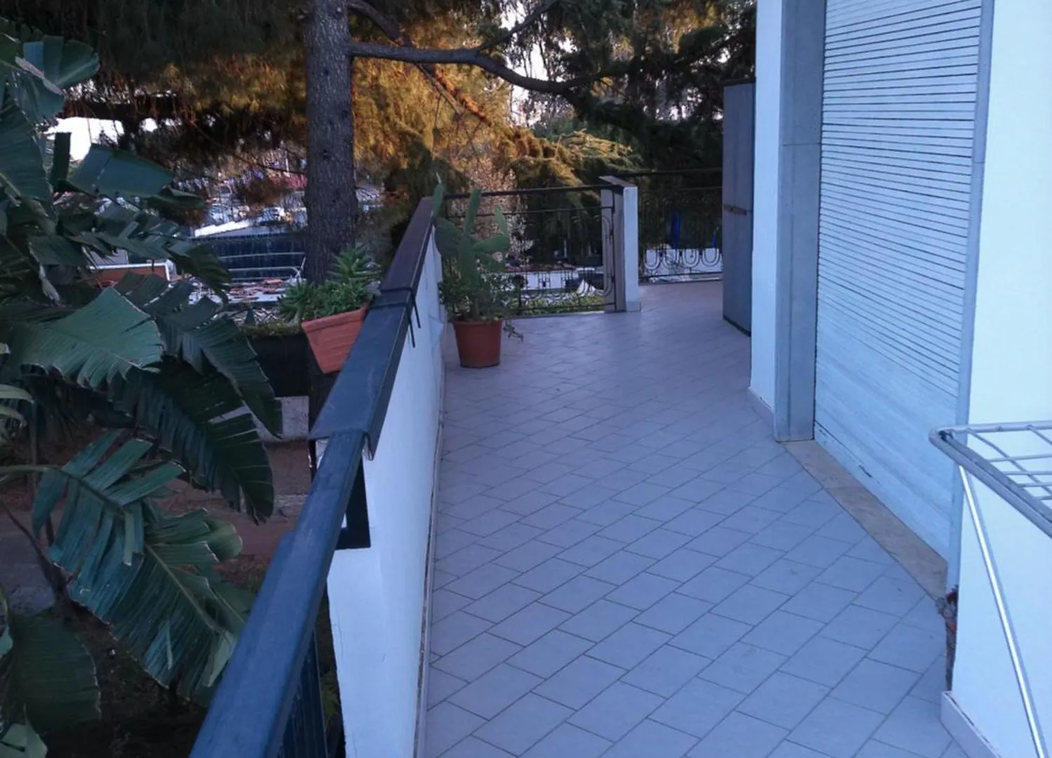 Greenhouse Mascalucia