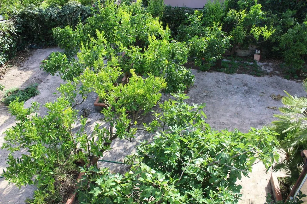 Appartement Greenhouse Mascalucia Italie