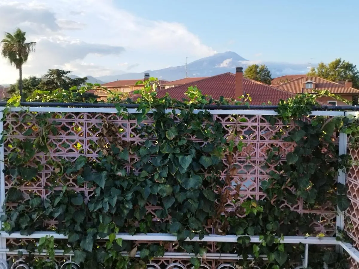 Greenhouse Mascalucia Appartement